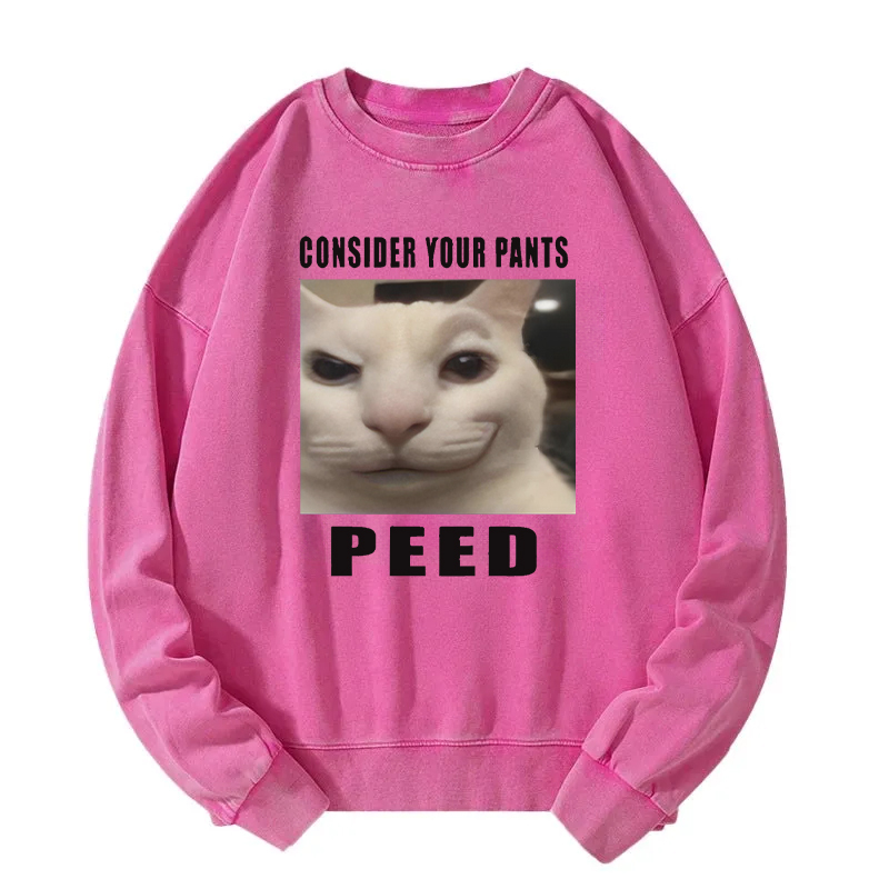 Consider Your Pants Peed Meme Washed Sweatshirt