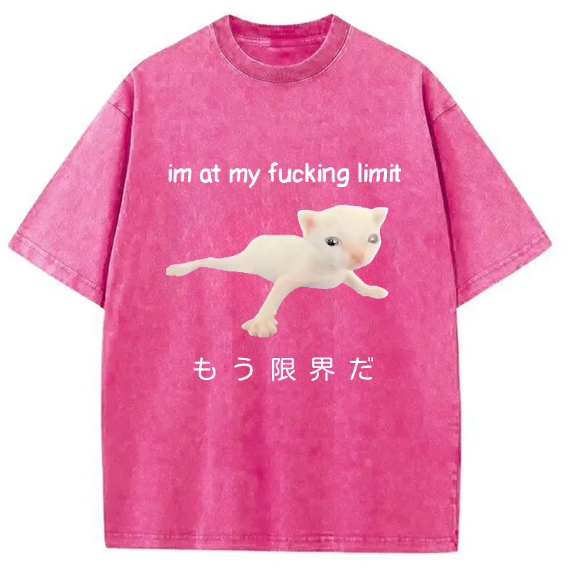 Cat Reaching Its Limit Washed T-Shirt