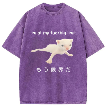 Cat Reaching Its Limit Washed T-Shirt