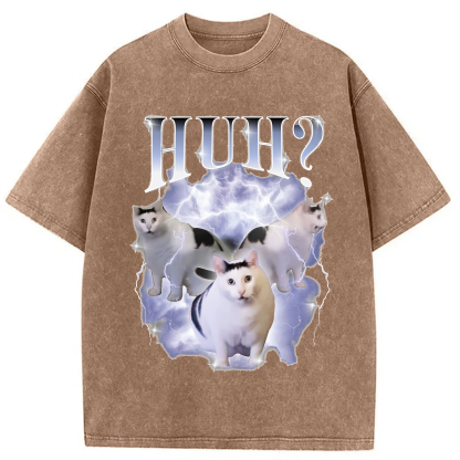 Huh Cat Chonky Ben Meme Washed T-Shirt
