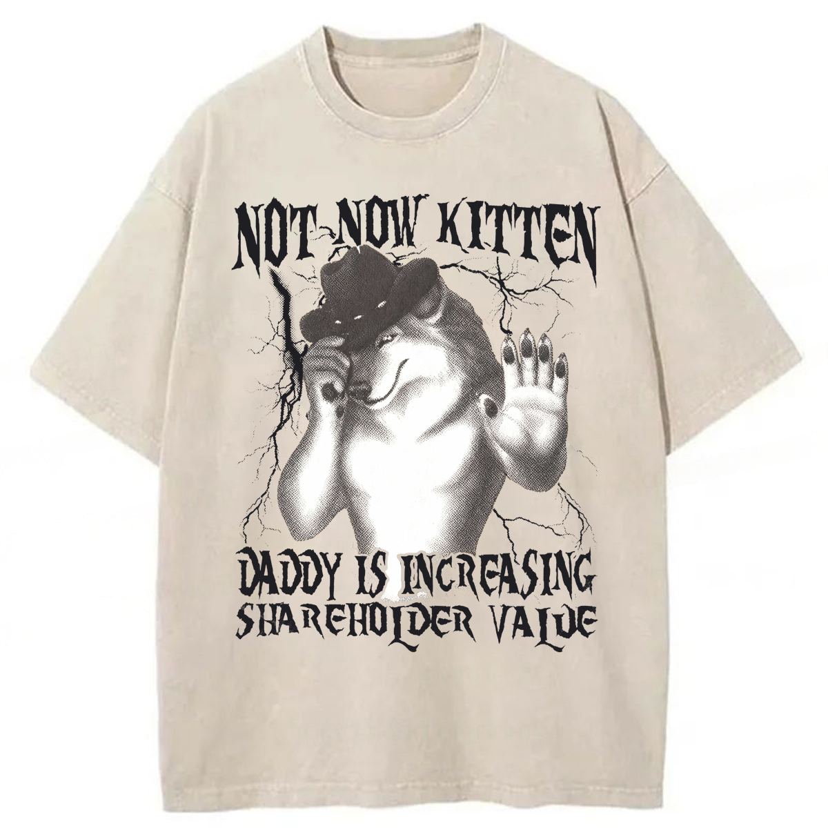 Tokyoviva Not Now Kitten Daddy Increasing Shareholder Value Washed T-shirt