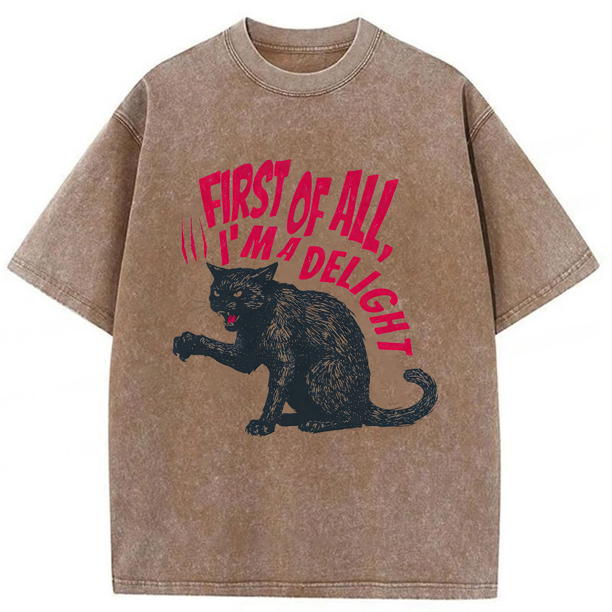 Tokyoviva Pistachio Cat Washed T-shirt