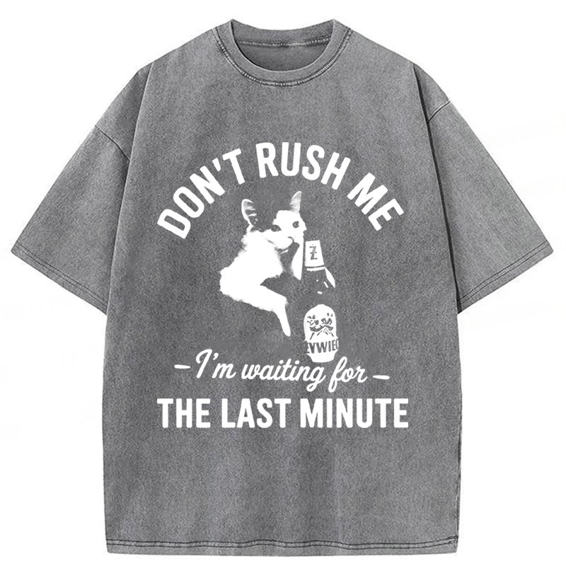 Tokyoviva Cat Don't Rush Me Washed T-shirt