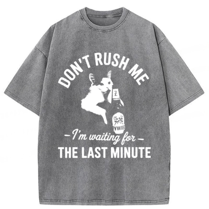 Tokyoviva Cat Don't Rush Me Washed T-shirt