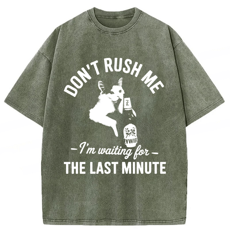 Tokyoviva Cat Don't Rush Me Washed T-shirt