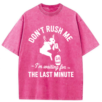 Tokyoviva Cat Don't Rush Me Washed T-shirt
