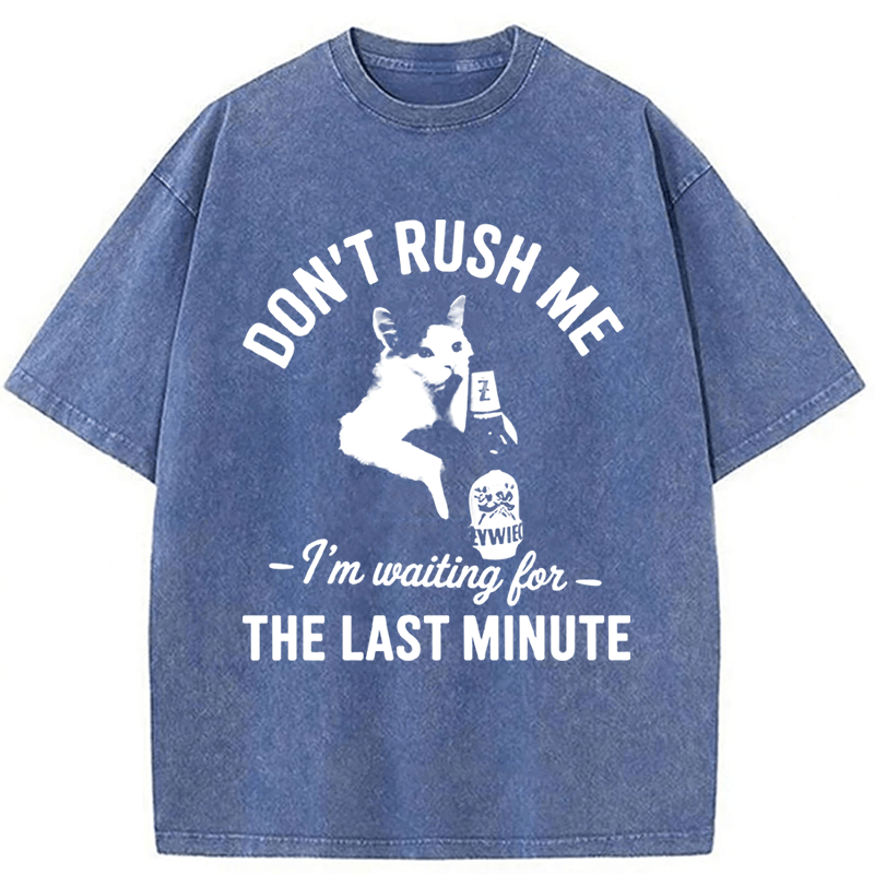 Tokyoviva Cat Don't Rush Me Washed T-shirt