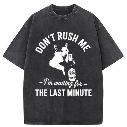 Tokyoviva Cat Don't Rush Me Washed T-shirt
