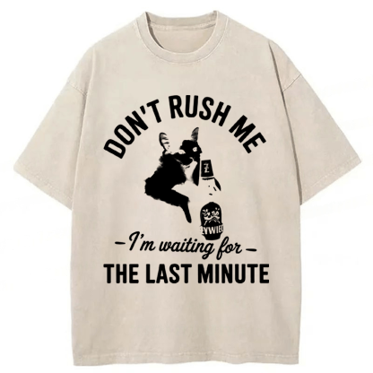 Tokyoviva Cat Don't Rush Me Washed T-shirt