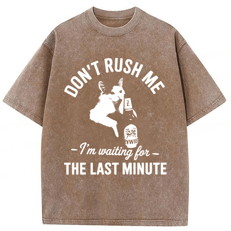 Tokyoviva Cat Don't Rush Me Washed T-shirt