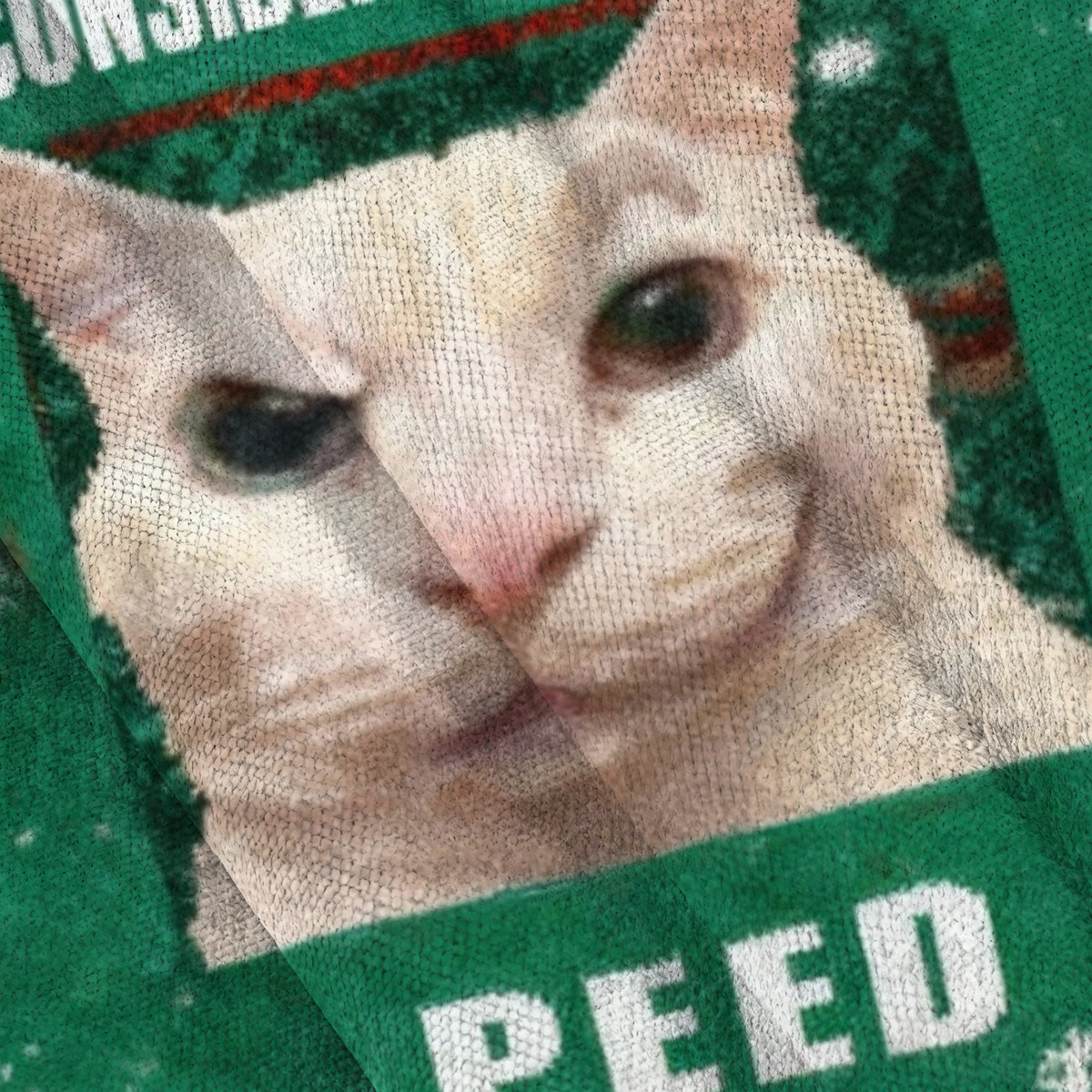 Baddiecat Consider Your Pants Peed Cat Meme Christmas Ugly Sweatshirt
