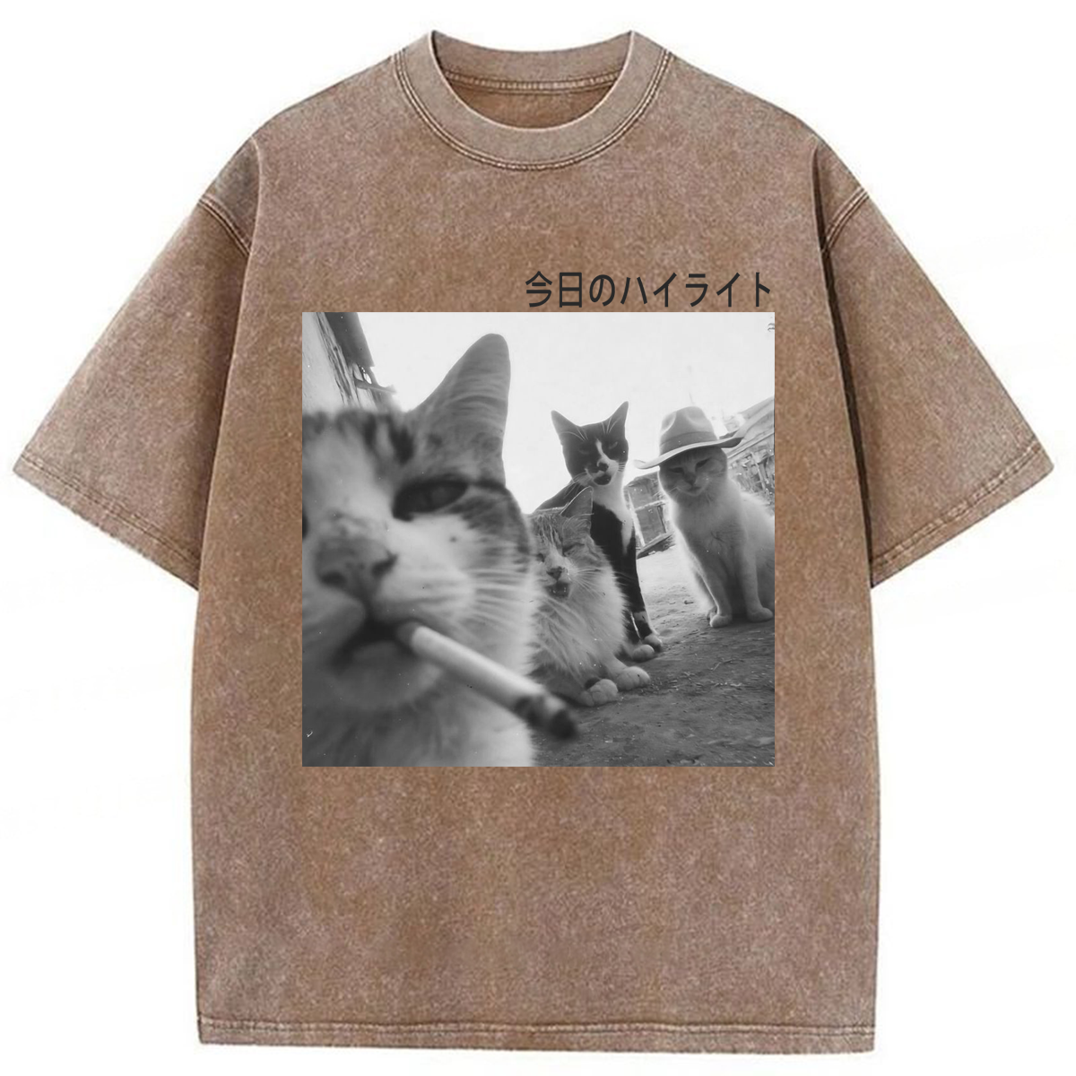 Tokyoviva Wonderful Moments Cats Washed T-shirt