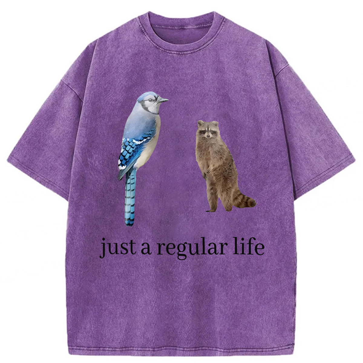 Tokyoviva Just A Regular Life Washed T-shirt