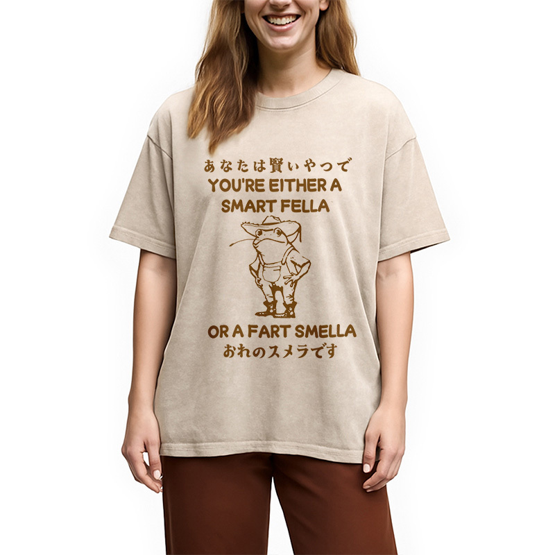 Are You A Smart Fella Or Fart Smella Washed T-Shirt