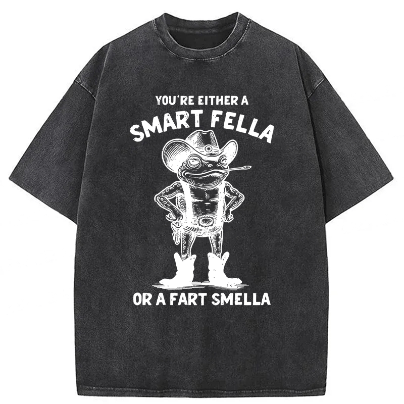 Tokyoviva Smart Fella Or Fart Smella Retro Cartoon Frog Washed T-shirt
