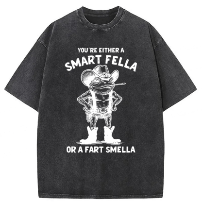 Tokyoviva Smart Fella Or Fart Smella Retro Cartoon Frog Washed T-shirt