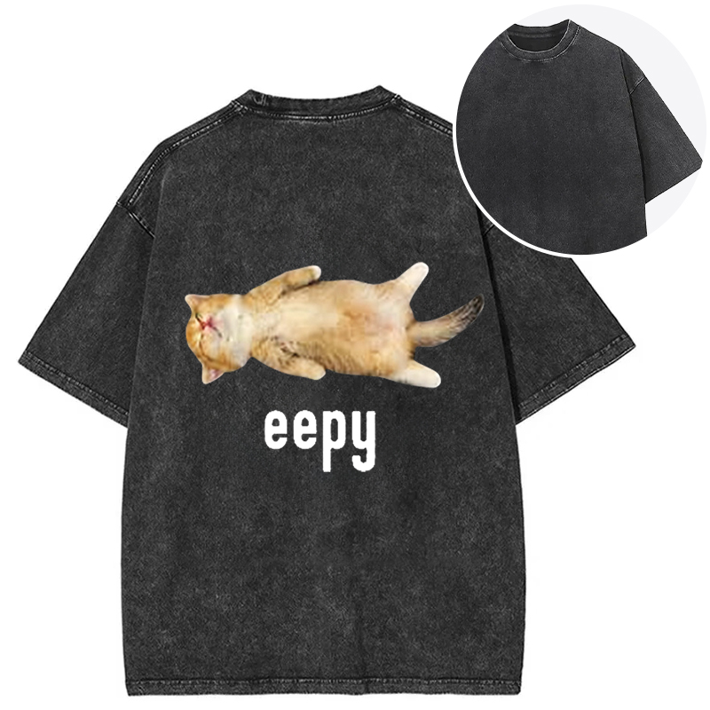 Silly Sleepy Cat Meme Back Washed T-Shirt