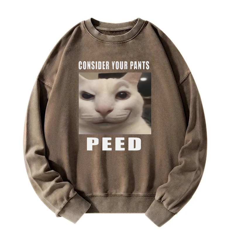 Consider Your Pants Peed Meme Washed Sweatshirt