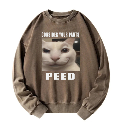 Consider Your Pants Peed Meme Washed Sweatshirt