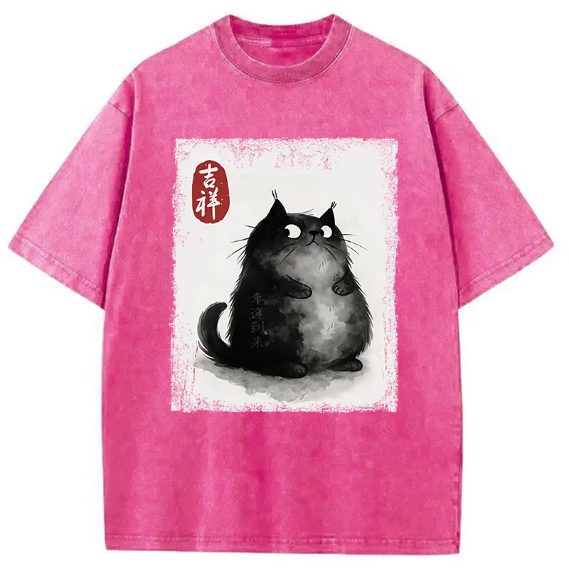 Auspicious Fluffy Black Cat Washed T-Shirt