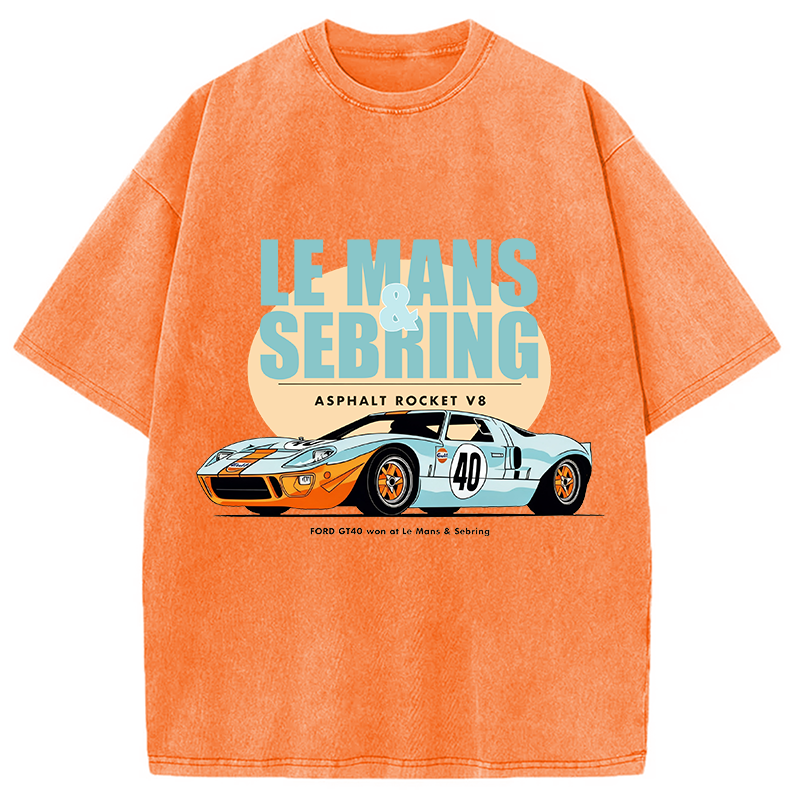 Won At Le Mans & Sebring Washed T-Shirt