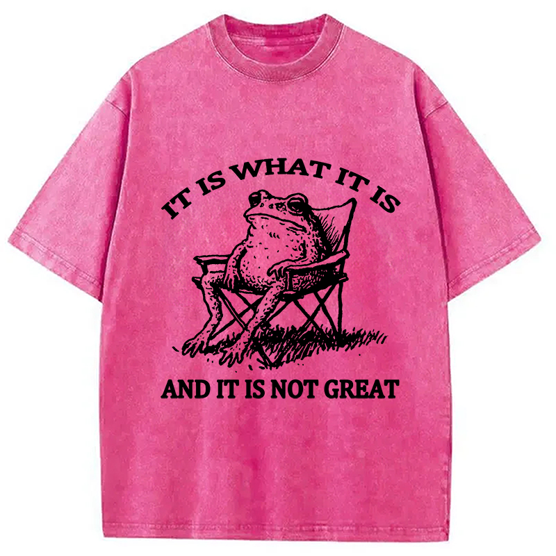 Resting Frog Funny Washed T-Shirt