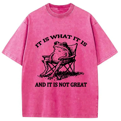 Resting Frog Funny Washed T-Shirt