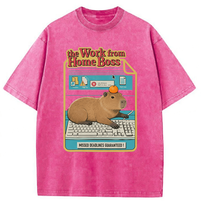 Tokyoviva Capybara Funny Washed T-shirt