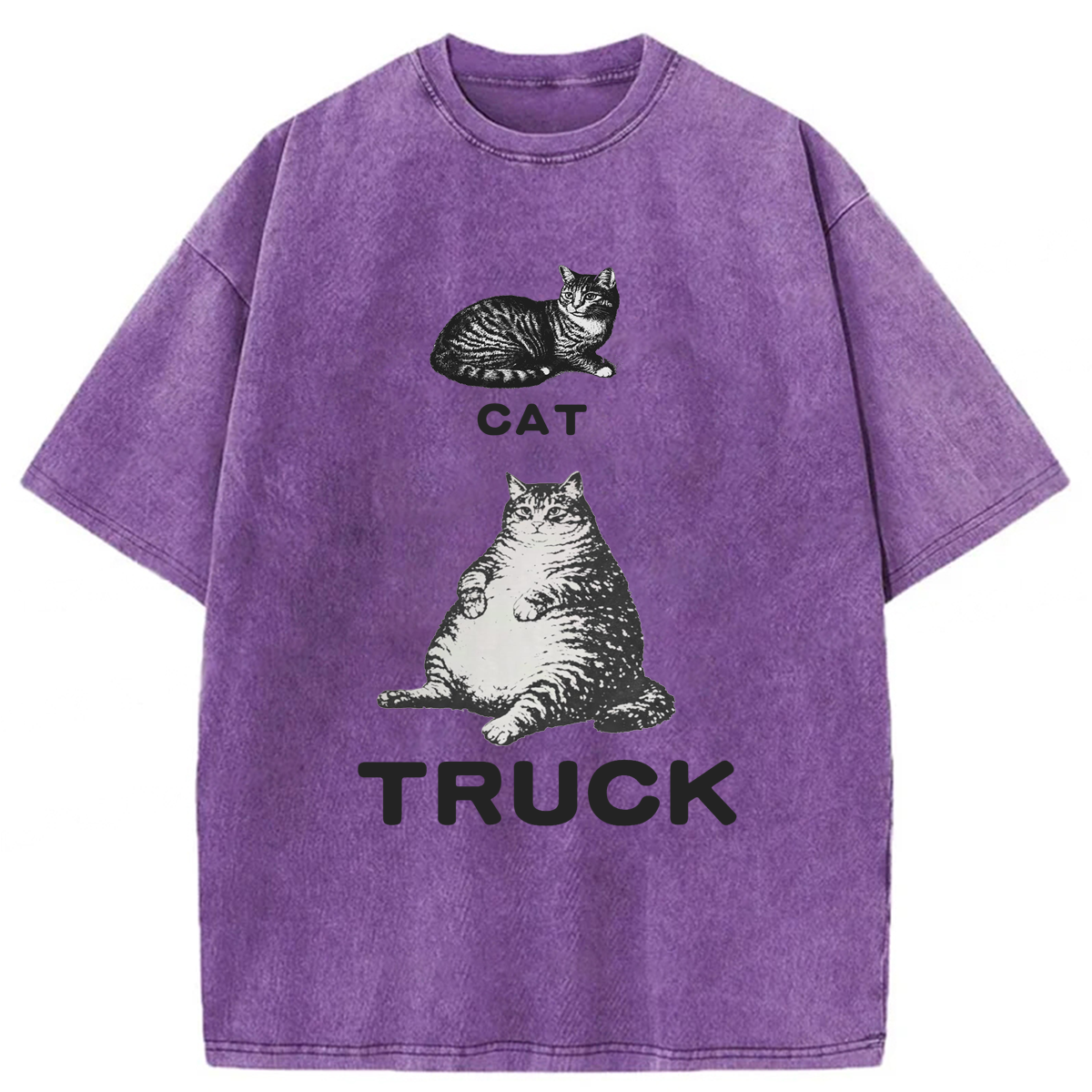 Tokyoviva Funny Cat Truck Washed T-shirt