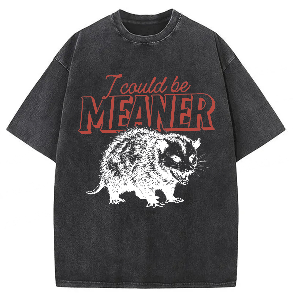 Tokyoviva I Could Be Meaner Possum Washed T-shirt