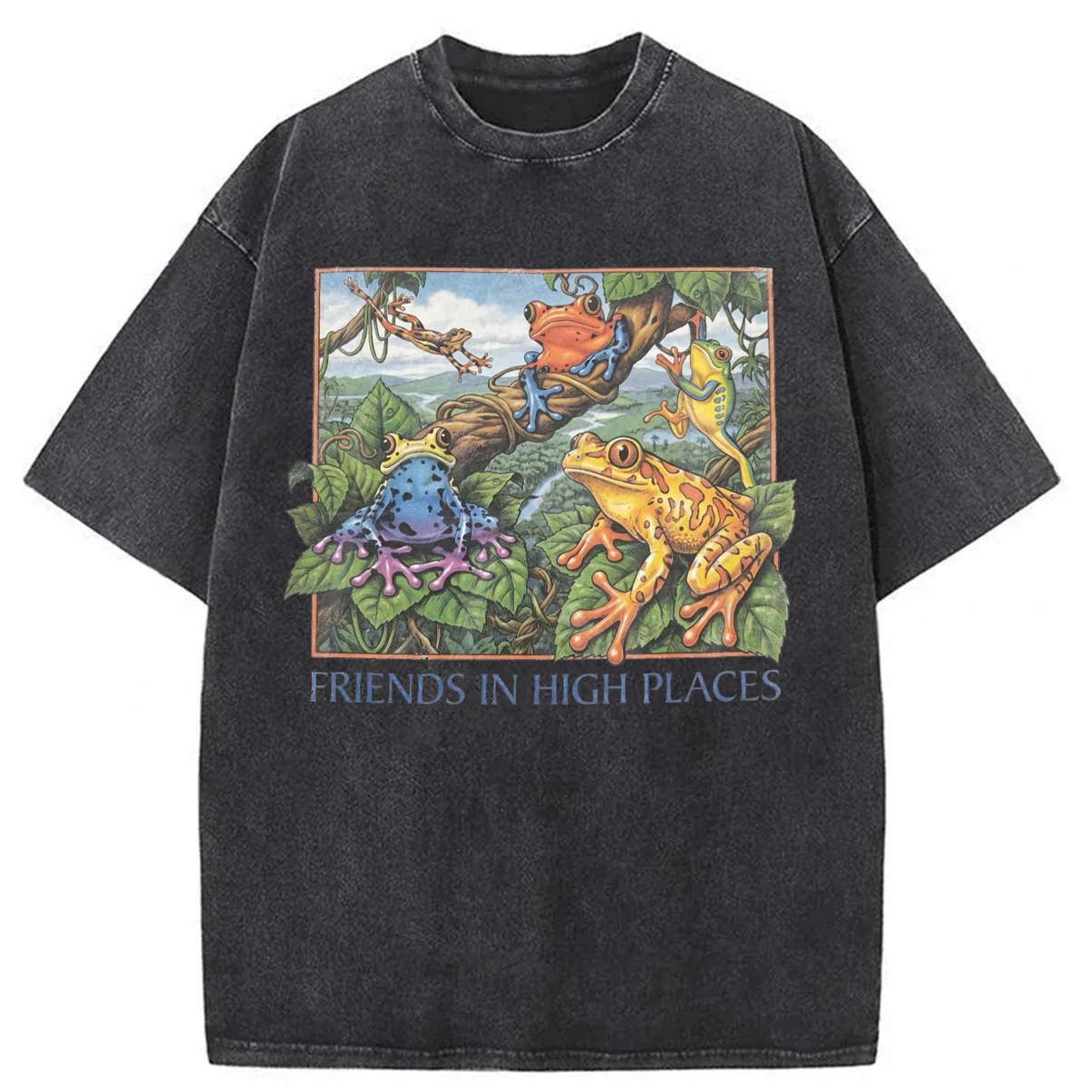 Tokyoviva Friends In High Places Frog Washed T-shirt