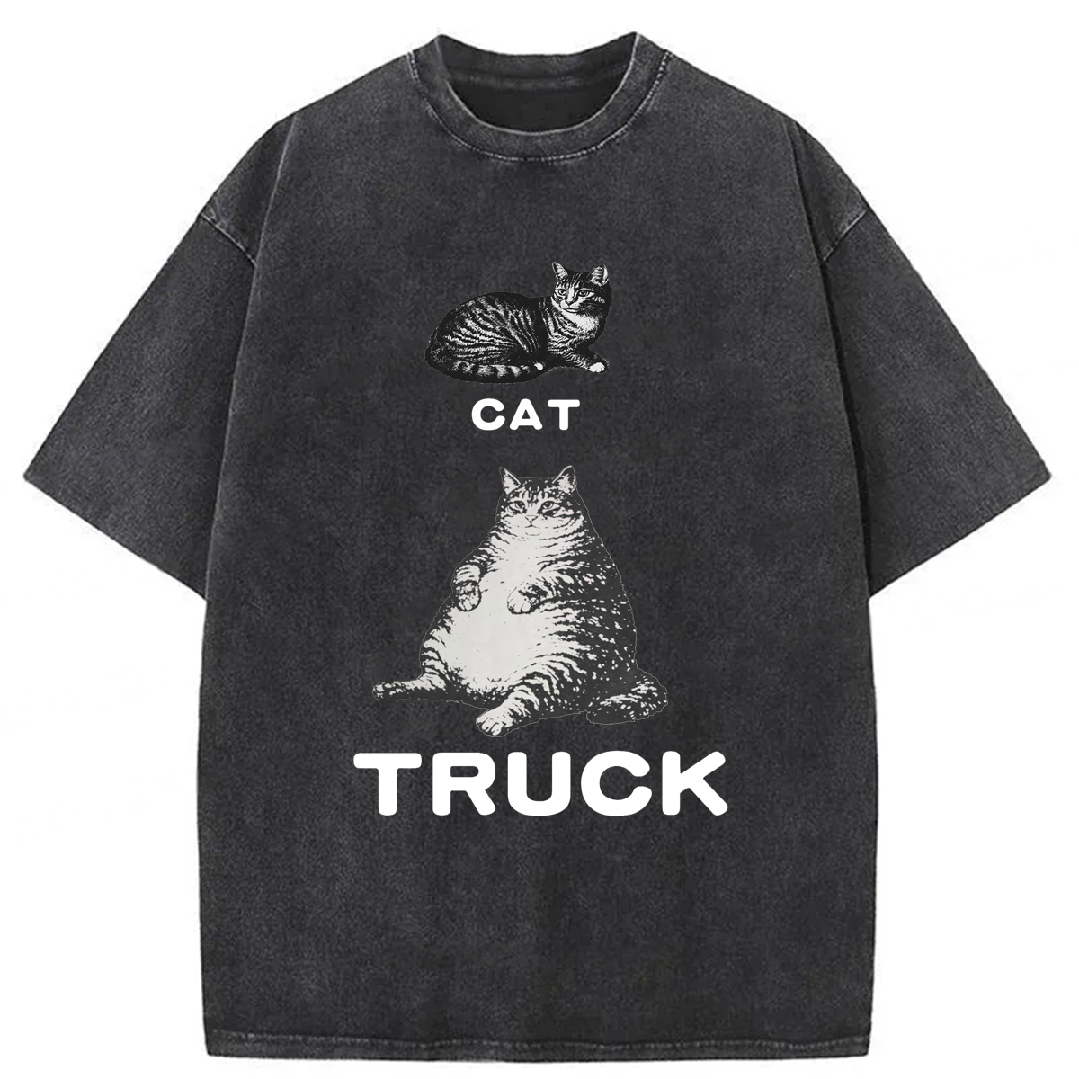 Tokyoviva Funny Cat Truck Washed T-shirt
