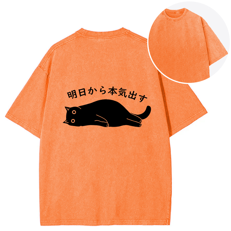 I'm Going To Get Serious Tomorrow Back Washed T-Shirt