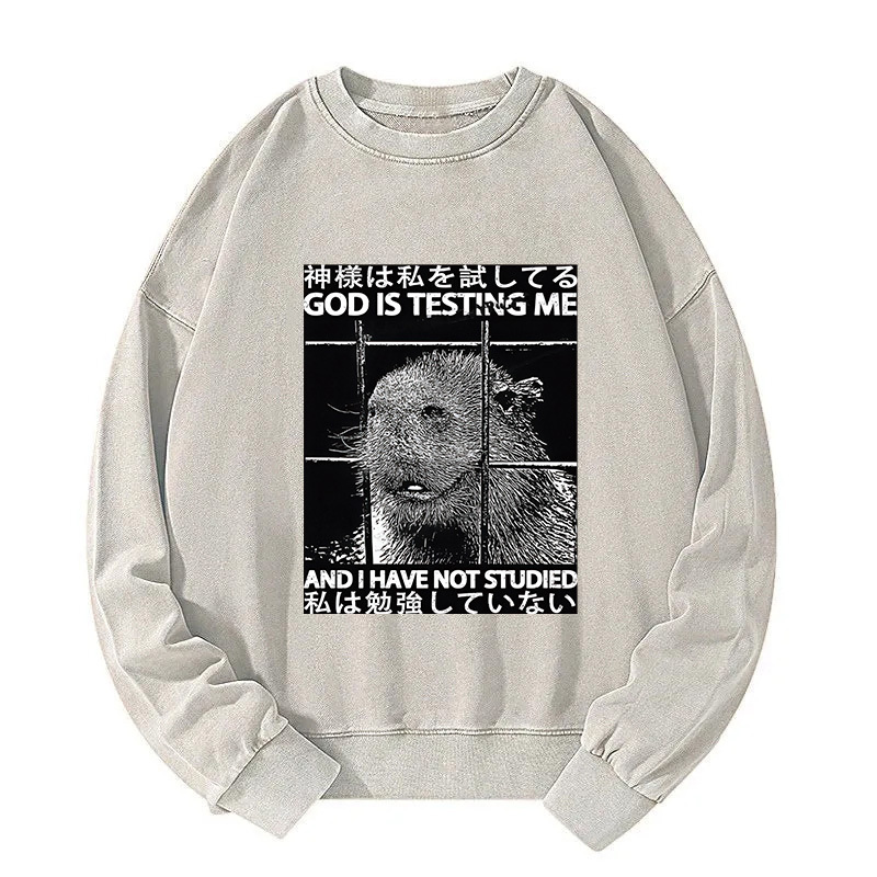 God Is Testing Me Washed Sweatshirt