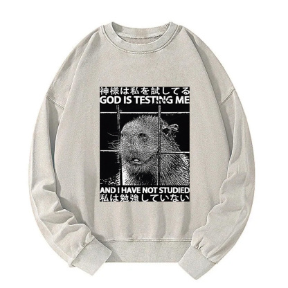 God Is Testing Me Washed Sweatshirt