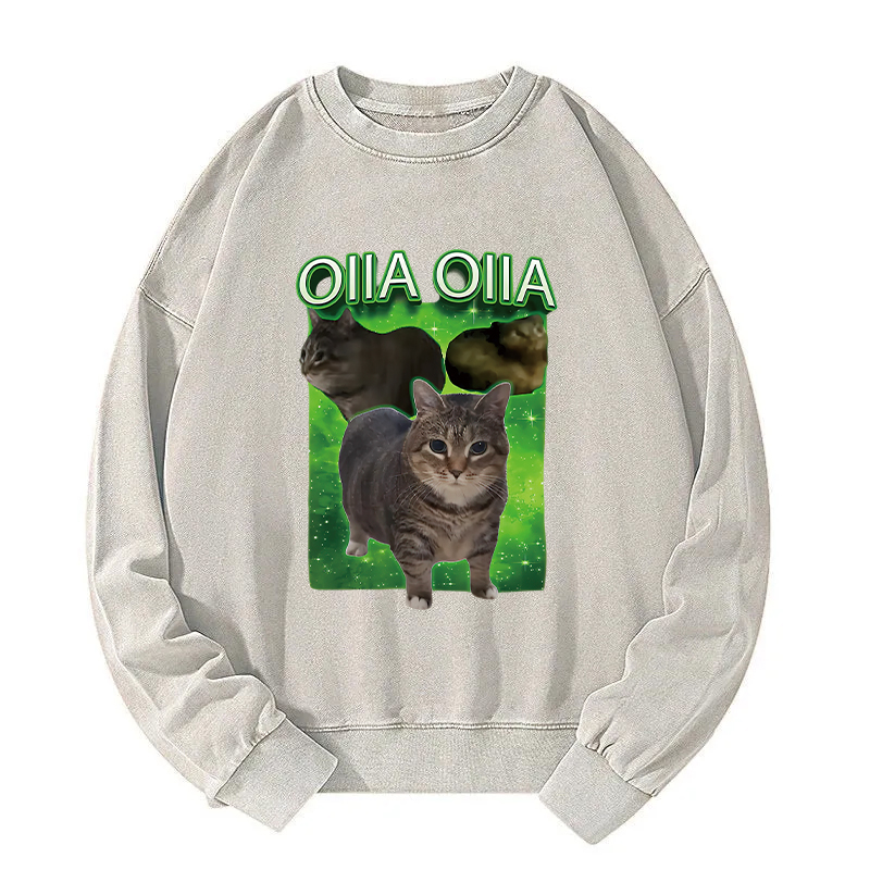 Oiia Cat Funny Meme Washed Sweatshirt