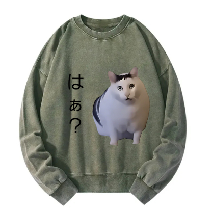 Suspicious Funny Cat Washed Sweatshirt