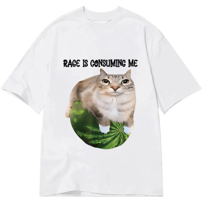 Rage Is Consuming Me Cat Meme Classic T-Shirt