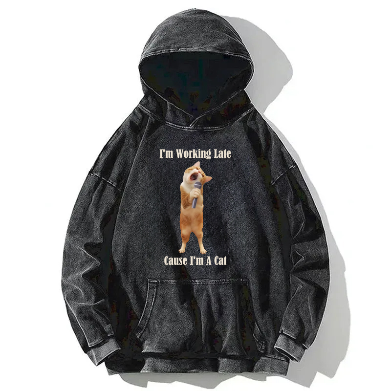 The Singing Cat Washed Hoodie