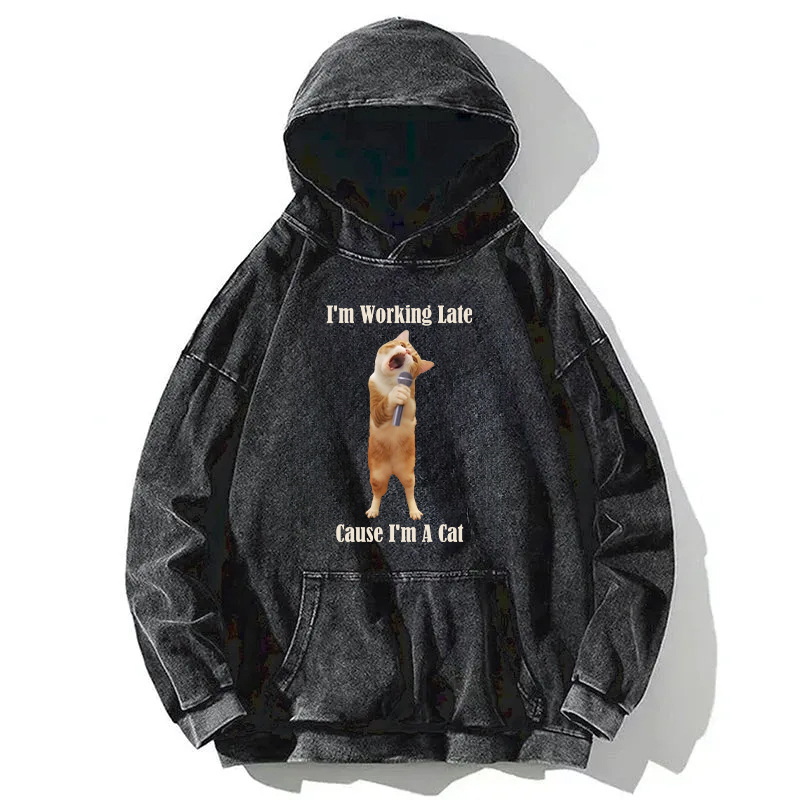 The Singing Cat Washed Hoodie