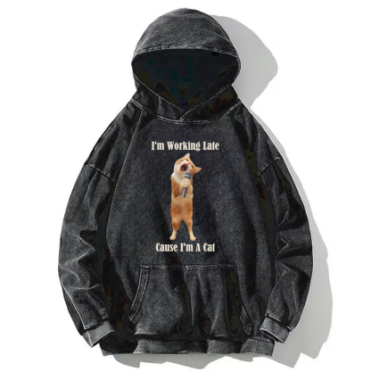 The Singing Cat Washed Hoodie