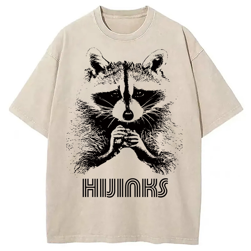 Raccoon Hijinks Washed T-Shirt