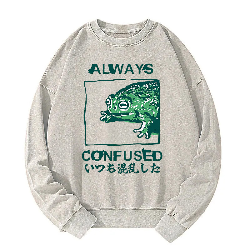 Always Confused Frog Washed Sweatshirt