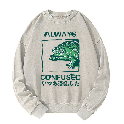 Always Confused Frog Washed Sweatshirt