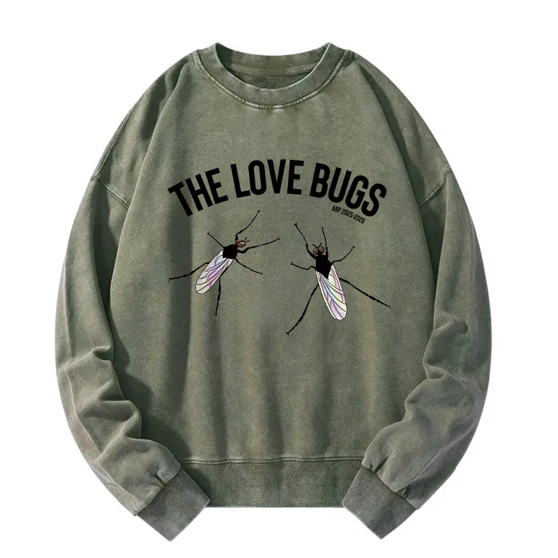 The Love Bugs Washed Sweatshirt