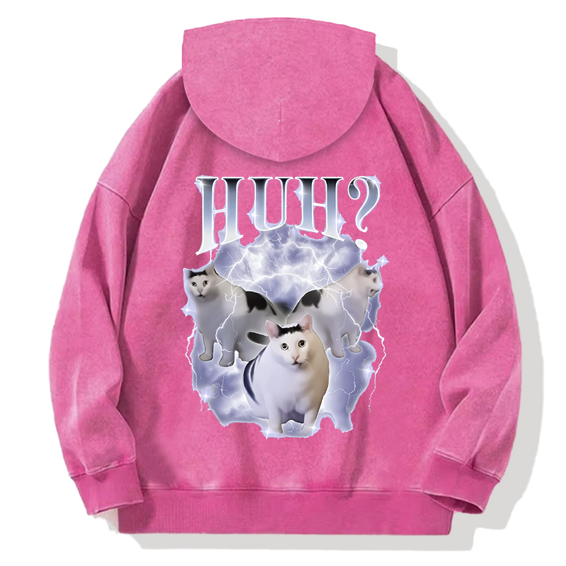 Huh Cat Chonky Ben Meme Back Washed Hoodie