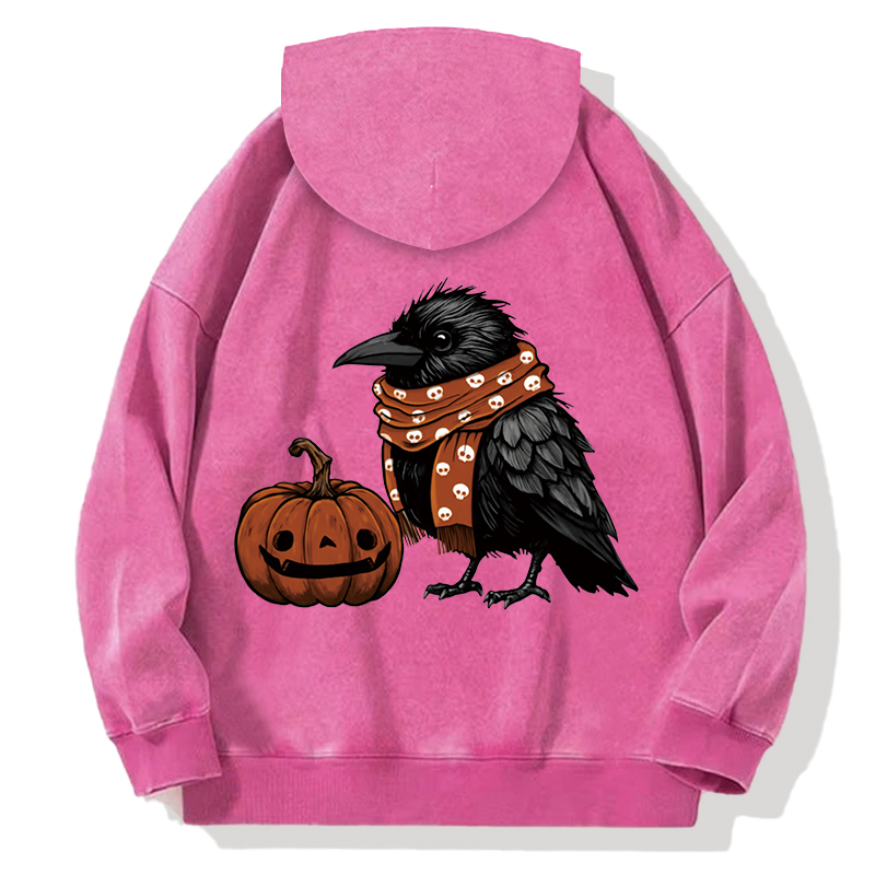 Crow and Pumpkin Back Washed Hoodie