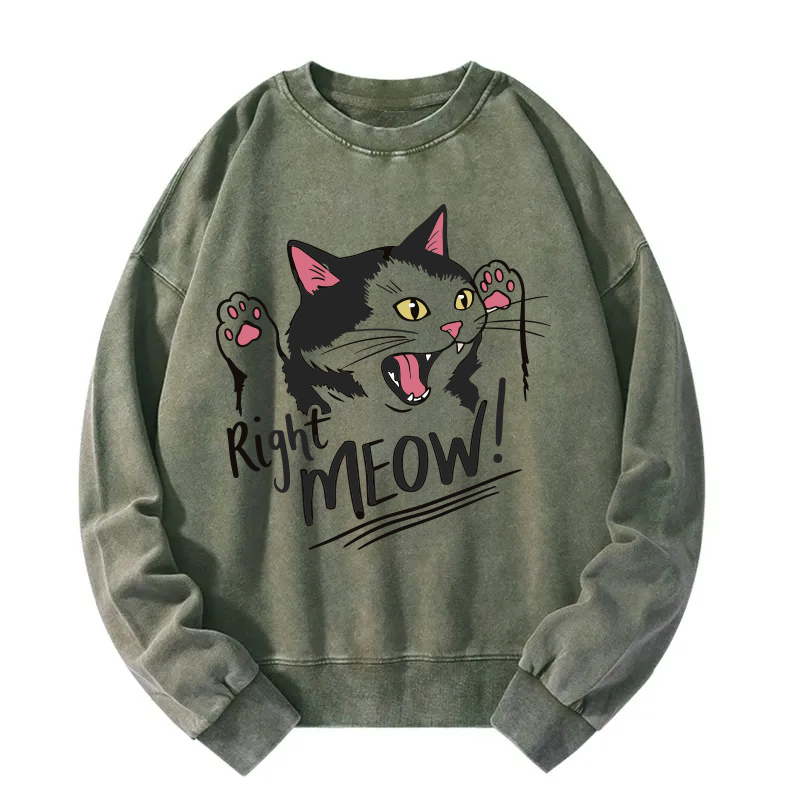 Right Meow Funny Cat Meme Washed Sweatshirt