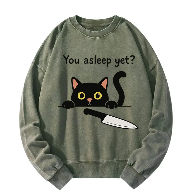 Cat With Murderous Intent Washed Sweatshirt
