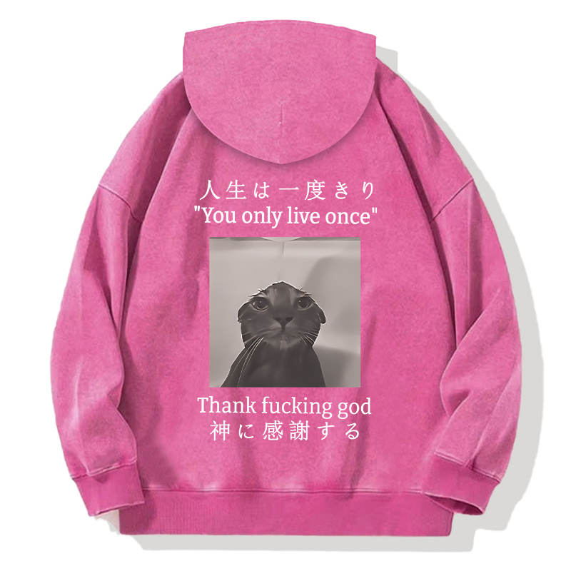 Funny Melancholy Cat Back Washed Hoodie